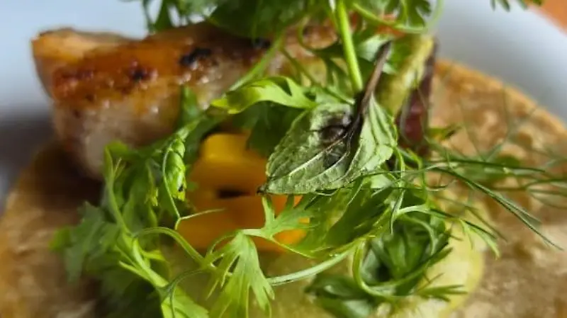 WhatsApp Image 2025 05 26 at 18.59.19